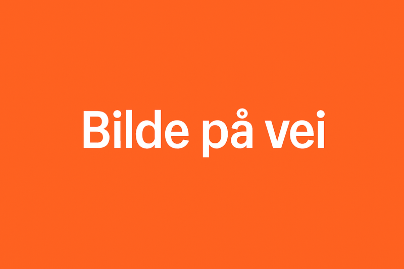 Last inn bildet i Gallery Viewer, Endre til "Bilde på vei" og bruk den samme oransje fargekoden som i tema her i shopify
