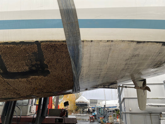 Billig bunnstoff? Dette er grunnen til at vi advarer!