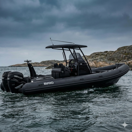 Rex Black 1kg | Til svarte båter